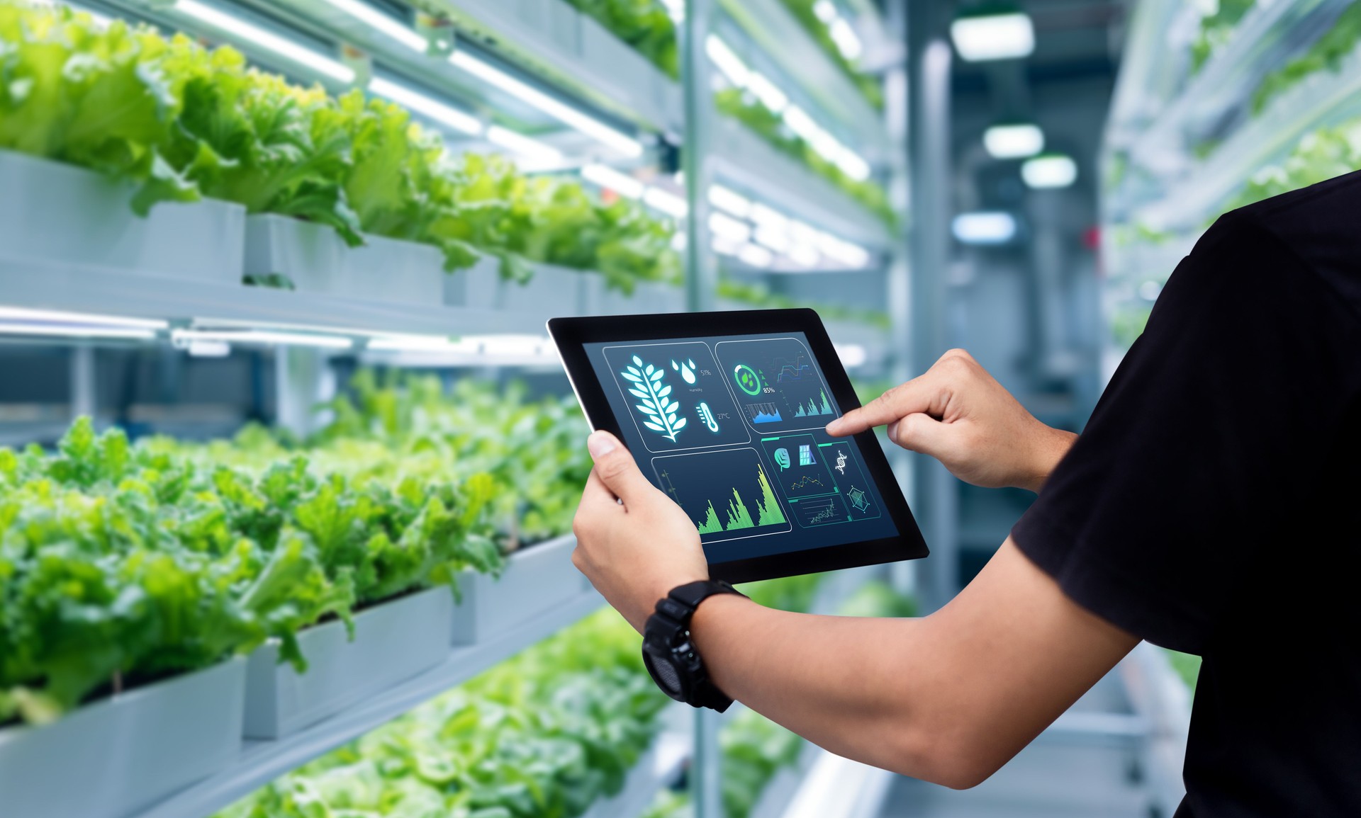 Smart farming argriculture concept.